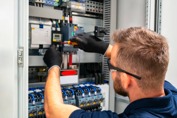 Best Affordable Electrician  in Royal Oak, MI