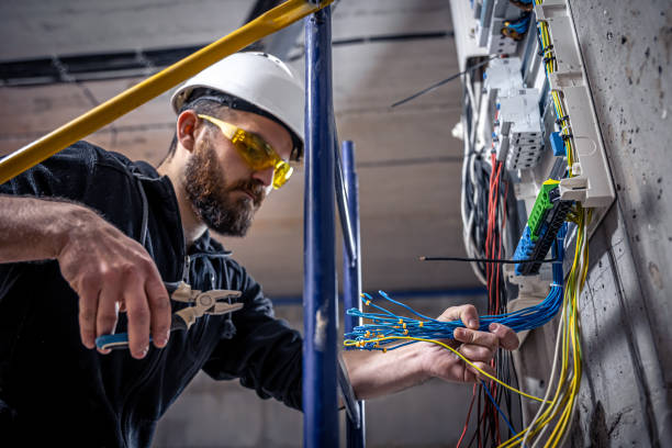 Best Electrical Repair Services  in Royal Oak, MI